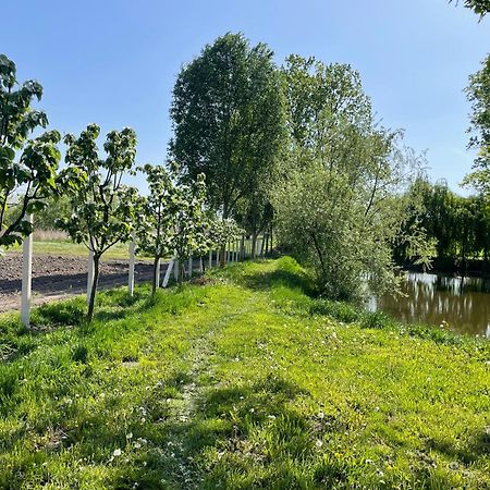 Almosdi Topart Vendeghaz Bagian luar foto